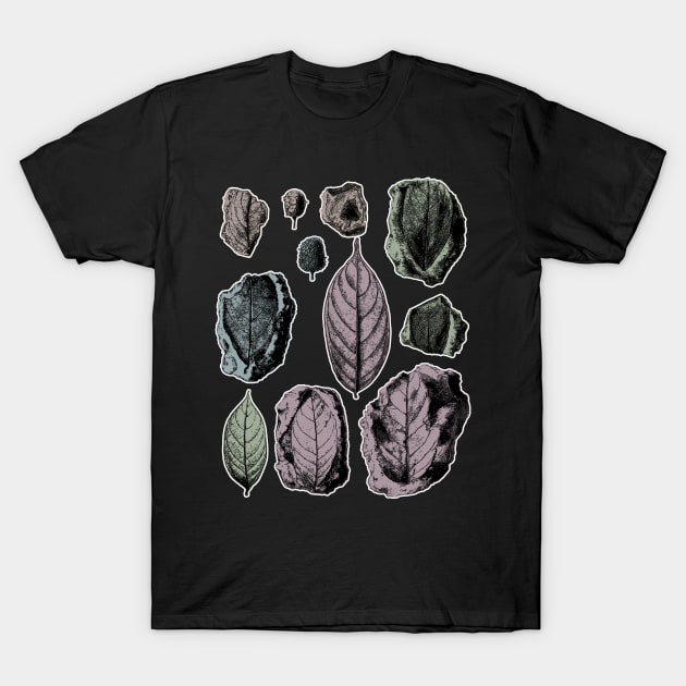 Botanical Leaf Fossils T-Shirt by encycloart